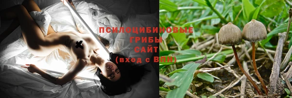 эйфоретик Абаза