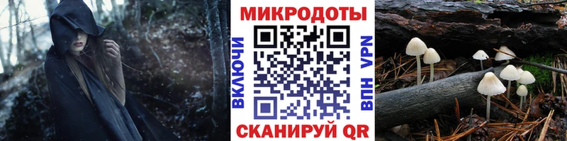 Псилоцибиновые грибы MAGIC MUSHROOMS  купить закладку  Абдулино 