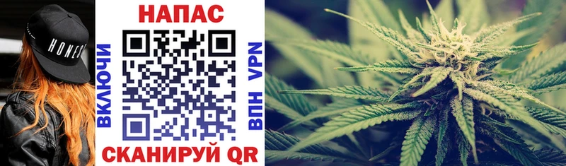 Конопля SATIVA & INDICA  Абдулино 